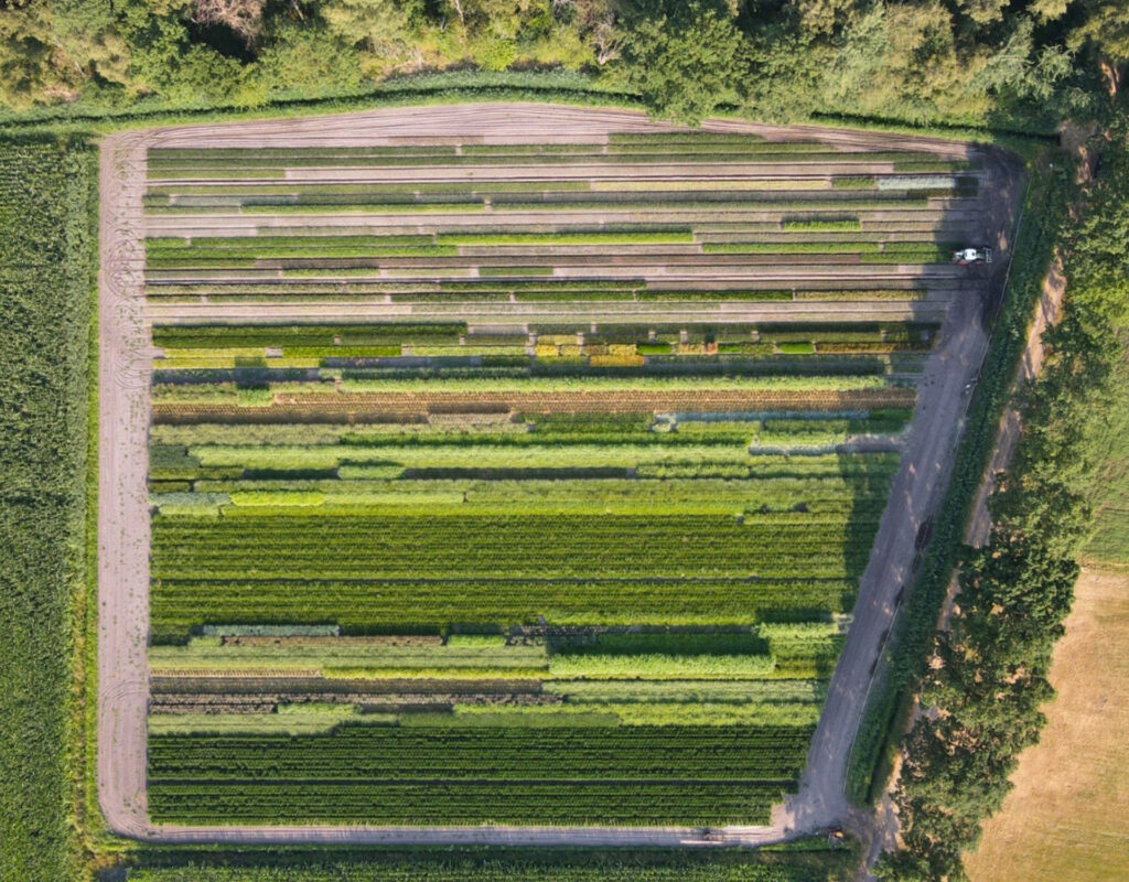 Luchtfoto van de kwekerij van Peeters Sierplanten