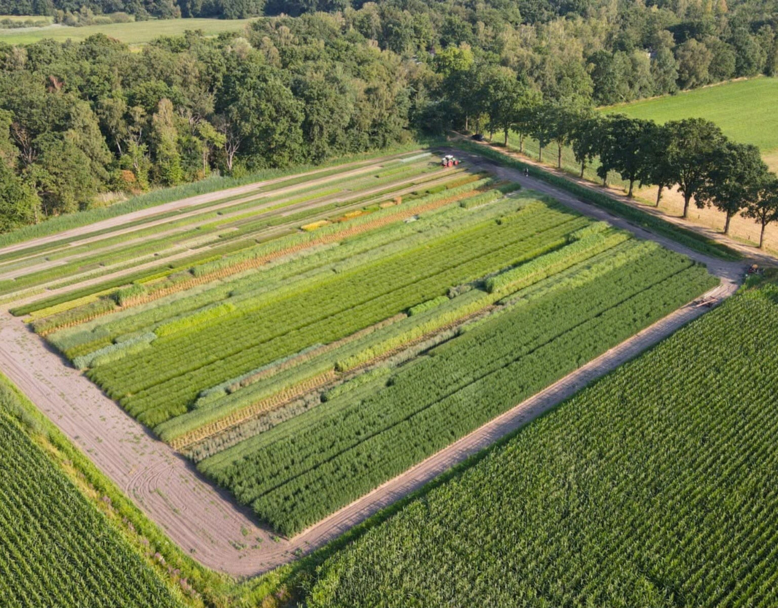 Luchtfoto van de kwekerijvelden van Peeters Sierplanten