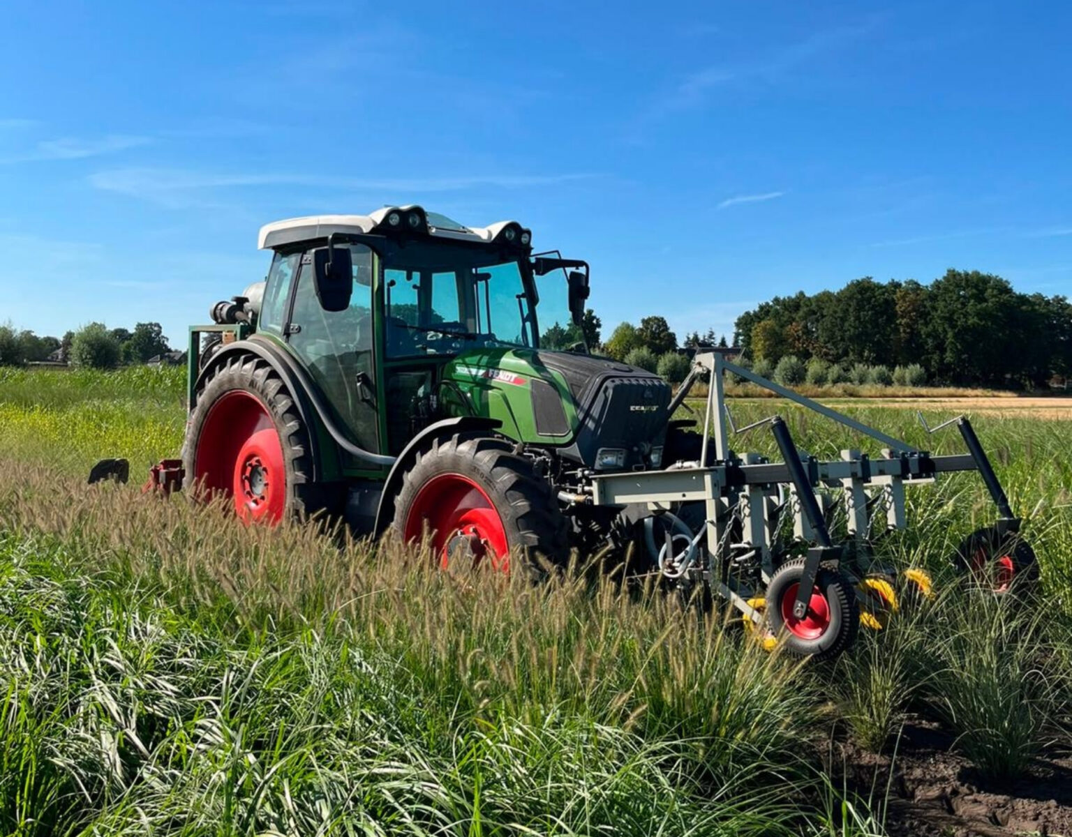 Schoffelen tussen de rijen op de kwekerij